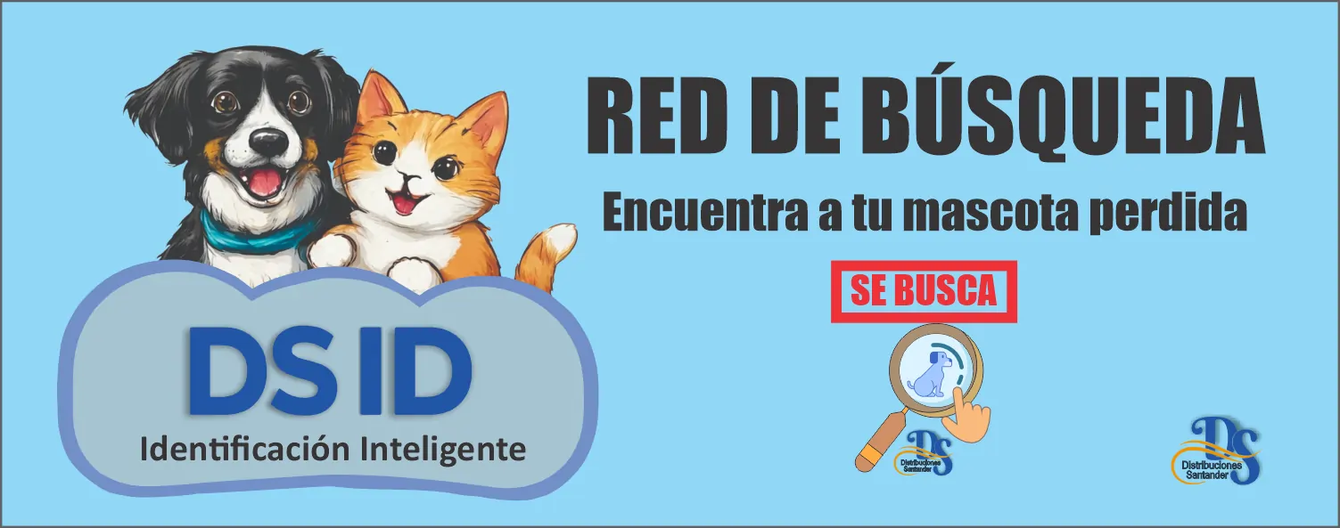 Red de Búsqueda
